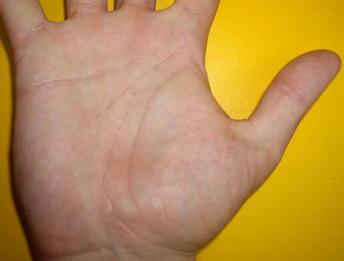 639.jpg