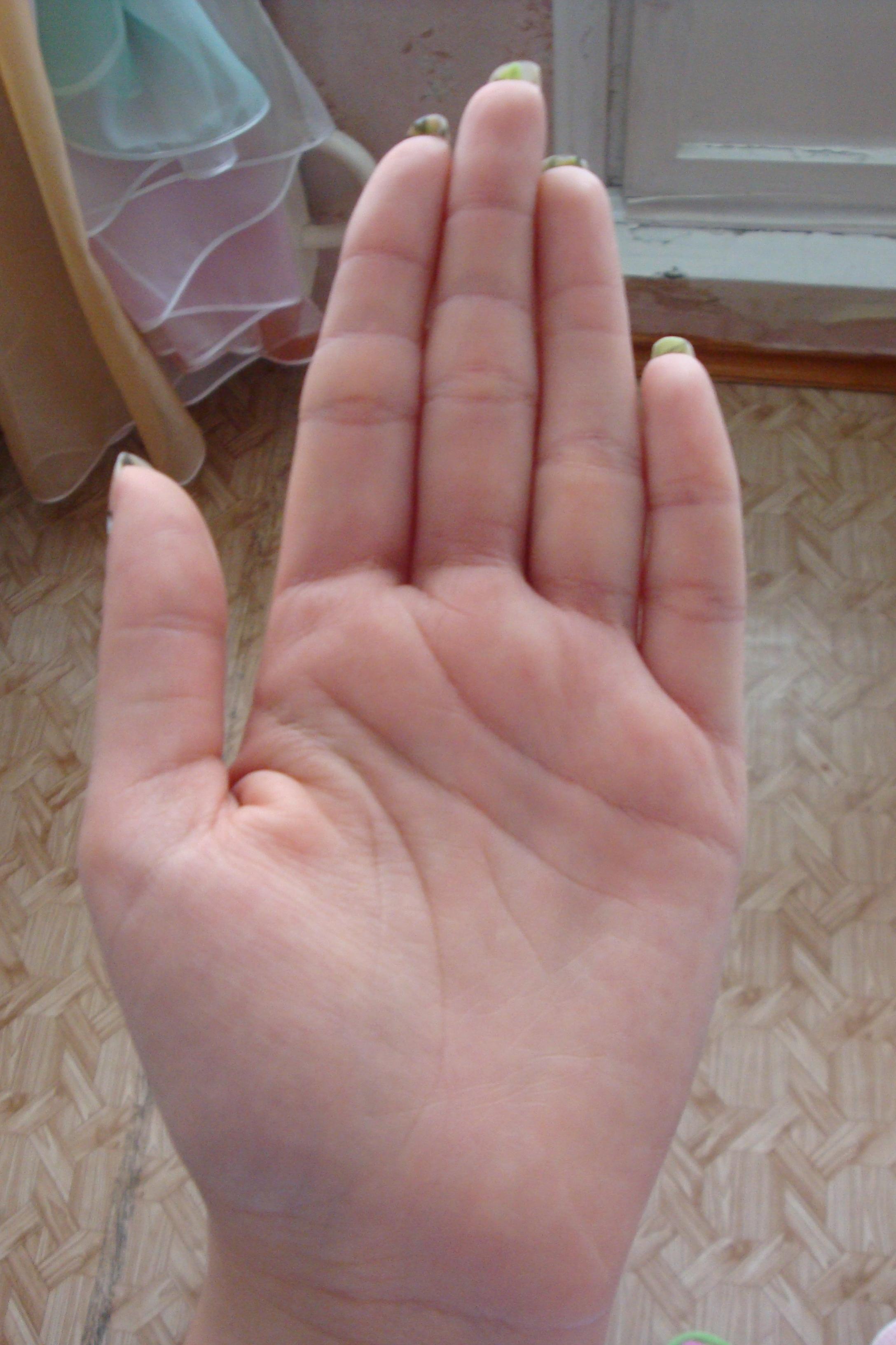 DSC00754.jpg