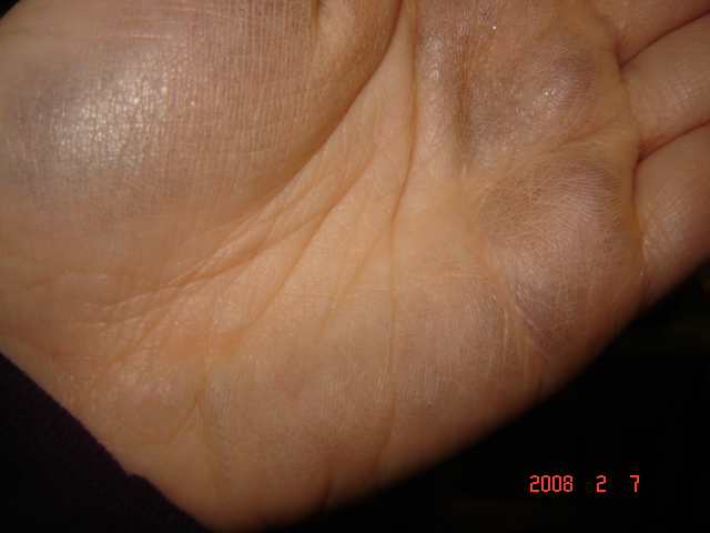 DSC01015.JPG