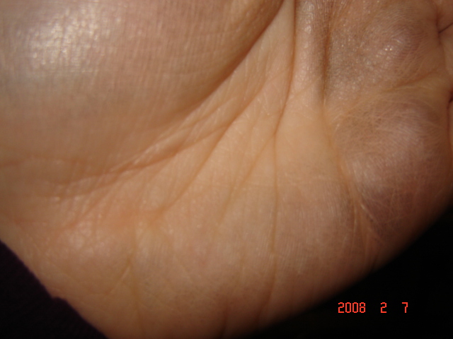 DSC01016.JPG
