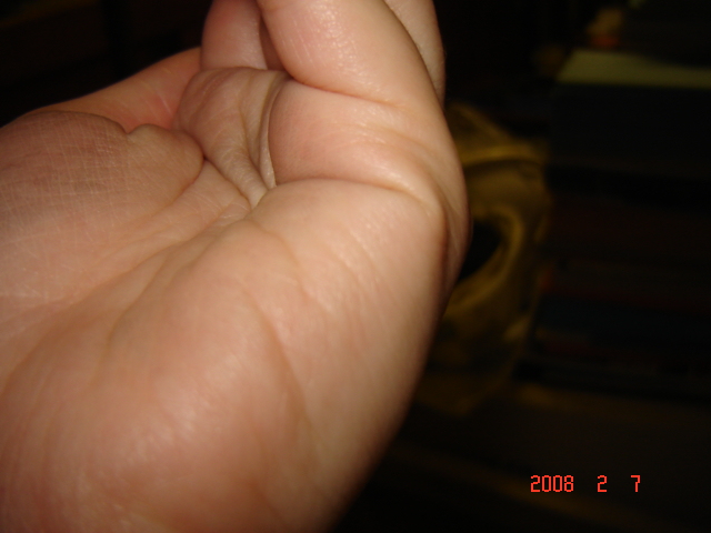 DSC01021.JPG