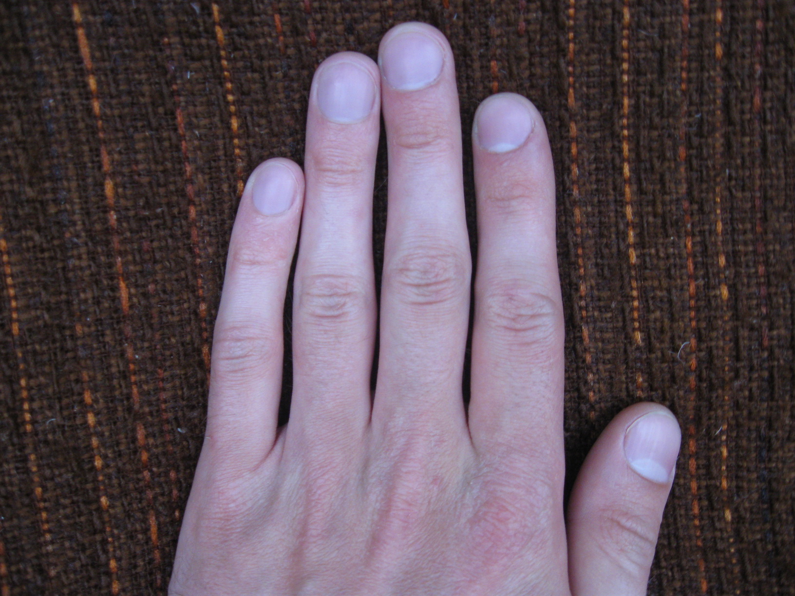 IMG_8348-leftfing_изменение размера.JPG