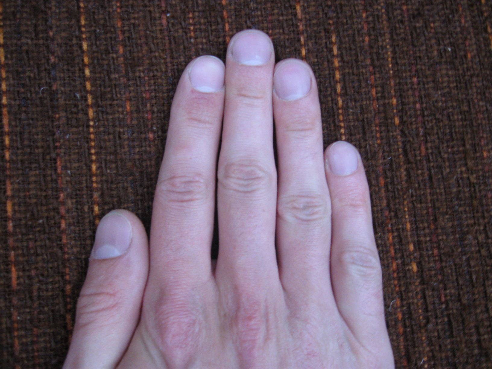 IMG_8349-rightfing_изменение размера.JPG