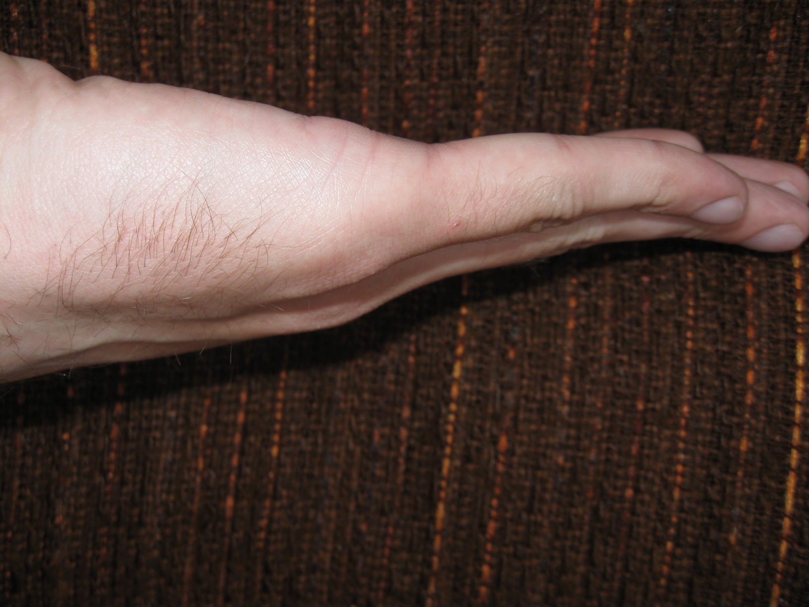 IMG_8356-lefttor_изменение размера.JPG