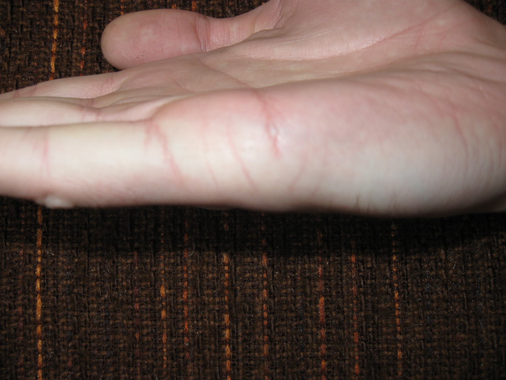 IMG_8358-righttor_изменение размера.JPG