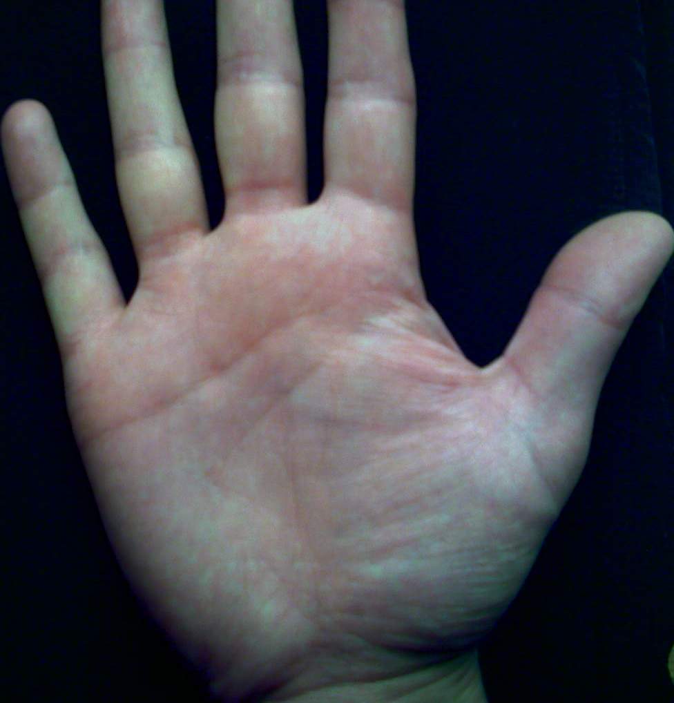 левая зеркальное.JPG