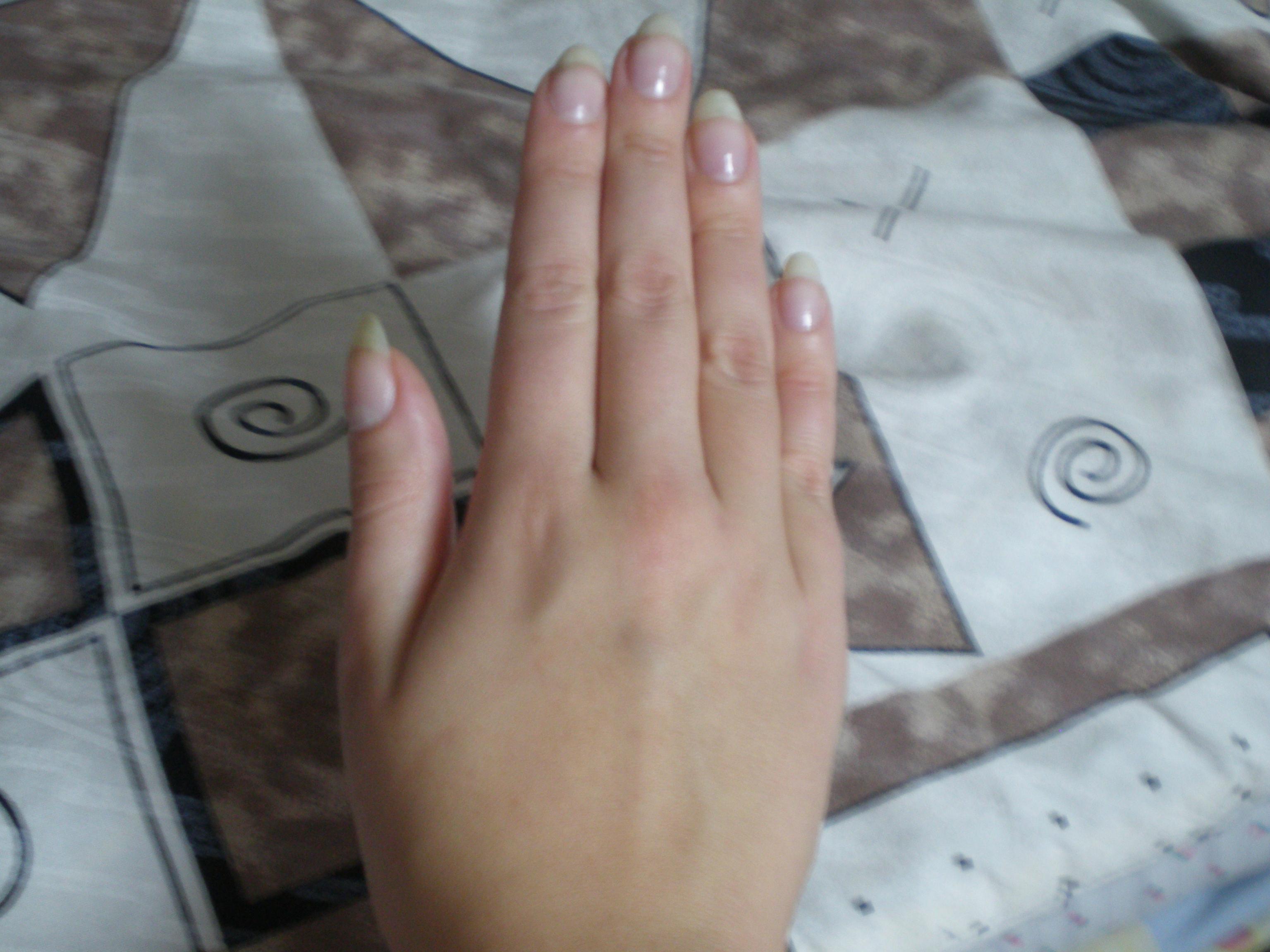 PA301203.jpg