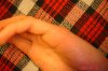 DSC01129.JPG