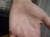 DSC09528.jpg