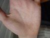 DSC09528.jpg