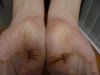 DSC09529.jpg