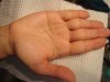 DSC00445.JPG