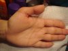 DSC00447.JPG