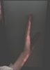 Torec_right.jpg
