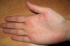 IMG_right.jpg