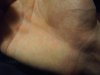 IMG00008.JPG