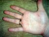 DSC02166.JPG