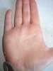 DSC00887.jpg