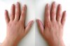 2hands-back.jpg