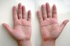2hands-front.jpg