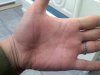hand left (2).jpg