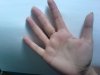 DSC00635.JPG