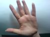 DSC00638.JPG