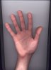 Правая1.jpg