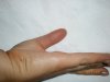 IMGP0502ss.jpg