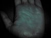 IMGP0554ad.jpg