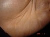 DSC01016.JPG