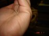 DSC01021.JPG