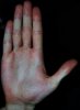 HAND.jpg