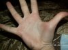 PICT0006.jpg