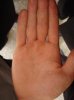 DSC03571.jpg