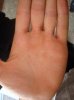 DSC03572.jpg