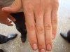 DSC03573.jpg
