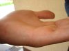 DSC03575.jpg