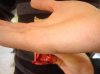 DSC03576.jpg