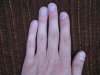 IMG_8348-leftfing_изменение размера.JPG