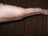 IMG_8356-lefttor_изменение размера.JPG