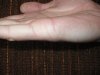 IMG_8358-righttor_изменение размера.JPG