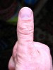 IMG_6750.jpg