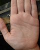 DSC04081-2.jpg