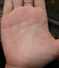 DSC04082-2.jpg