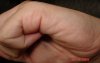 DSC04085-2.jpg