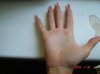 DSC03843.jpg
