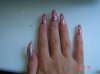 DSC03846.jpg