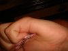DSC03854.jpg