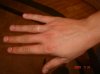 DSC03861.jpg